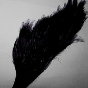 1/2 wapsi  chinese streamer cock cape # 1 black